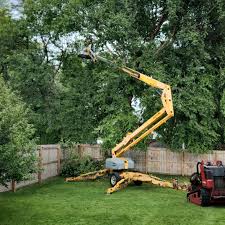 How Our Tree Care Process Works  in Wekiwa Springs, FL